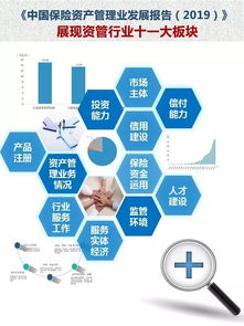 《中國保險(xiǎn)資產(chǎn)管理業(yè)發(fā)展報(bào)告2019》 洞察資本管理新趨勢，引領(lǐng)行業(yè)高質(zhì)量發(fā)展
